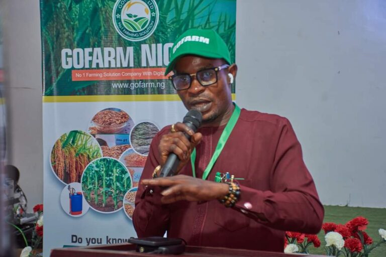 Mr Dickson - CEO, GoFarms Nigeria Limited