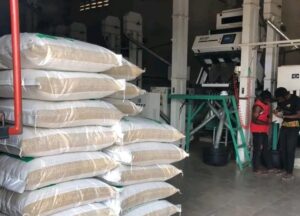 Rice Processing and packaging phase